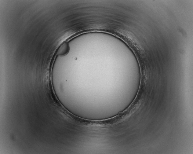 X0000116811073200912311951