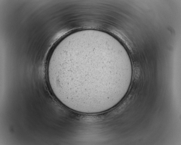 X0000116811074200912311951