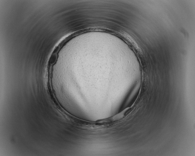 X0000116811076200912311951