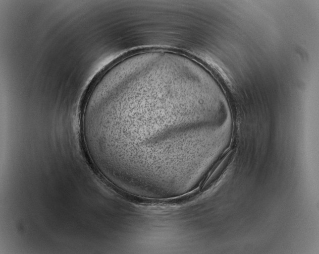 X0000116811077200912311951