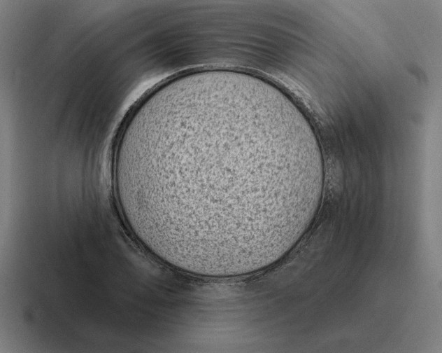 X0000116811078200912311951