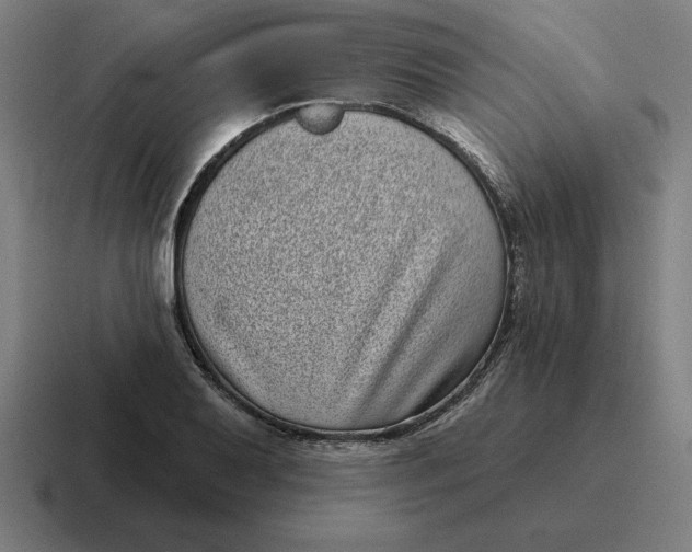 X0000116811079200912311951