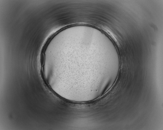 X0000116811080200912311951