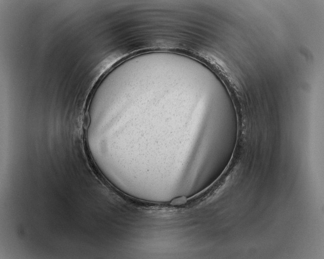 X0000116811081200912311951