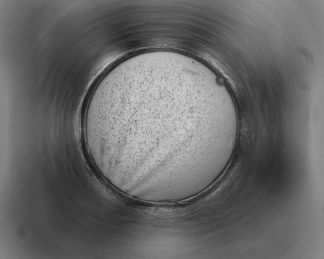 X0000116811082200912311951