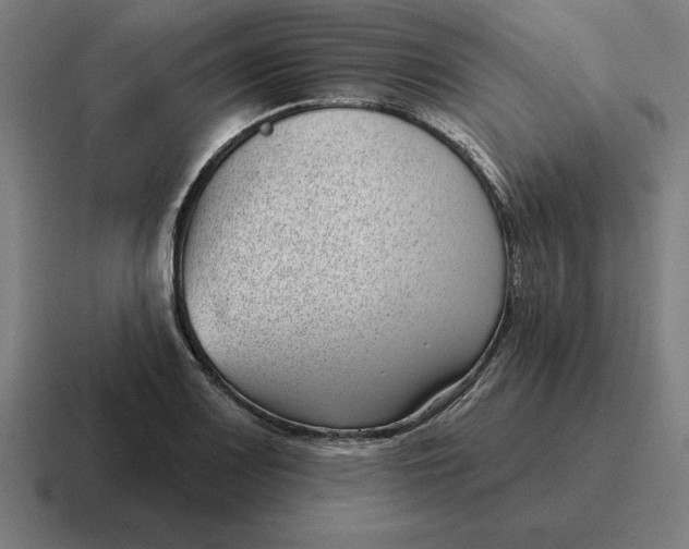 X0000116811083200912311951