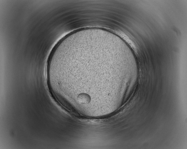 X0000116811084200912311951