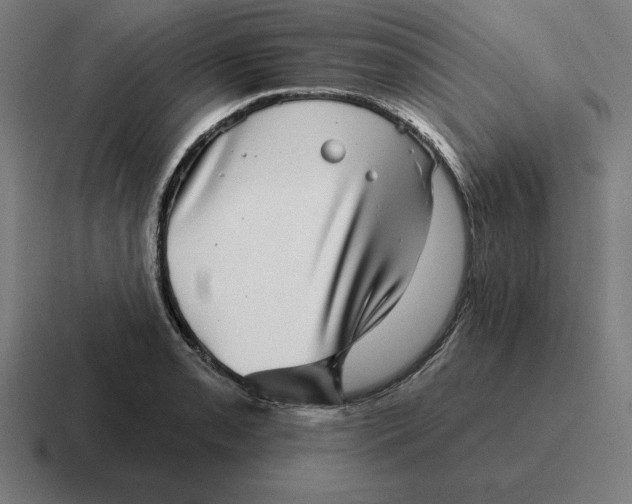 X0000116811085200912311951