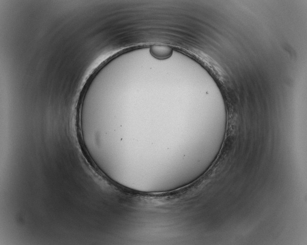 X0000116811086200912311951