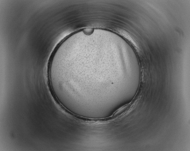 X0000116811087200912311951