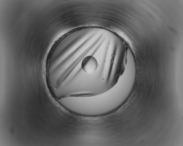 X0000116811088200912311951