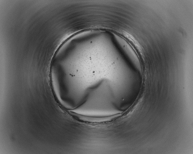 X0000116811089200912311951