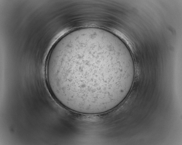 X0000116811090200912311951