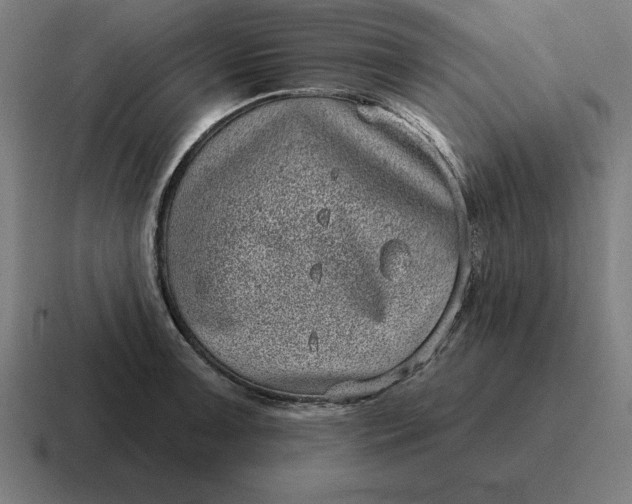 X0000116811091200912311951