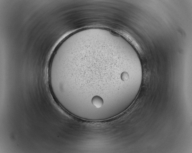 X0000116811092200912311951