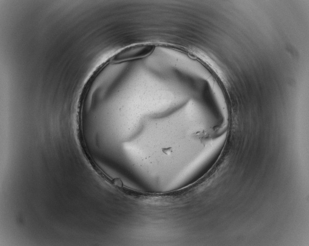 X0000116811093200912311951