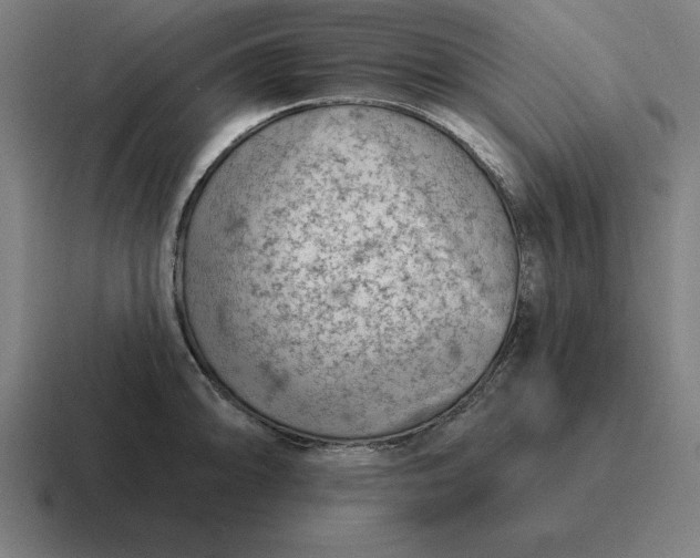 X0000116811094200912311951