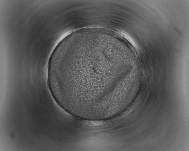 X0000116811095200912311951