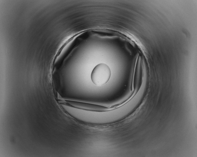 X0000116811097200912311951