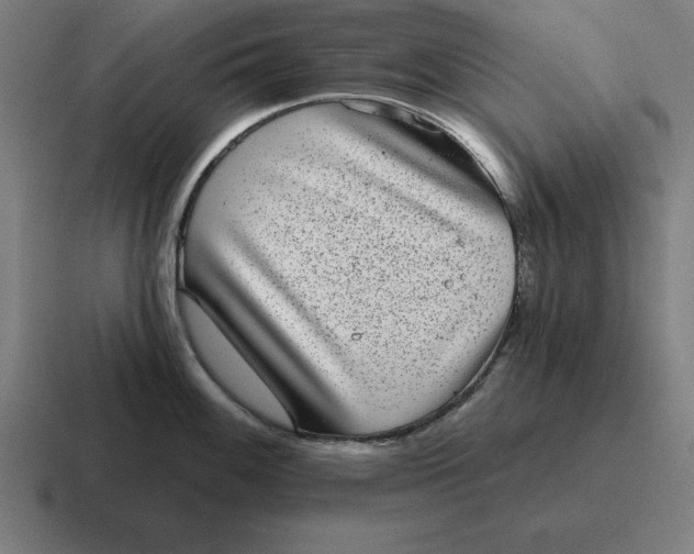 X0000116811100200912311951