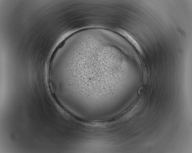 X0000116811101200912311951