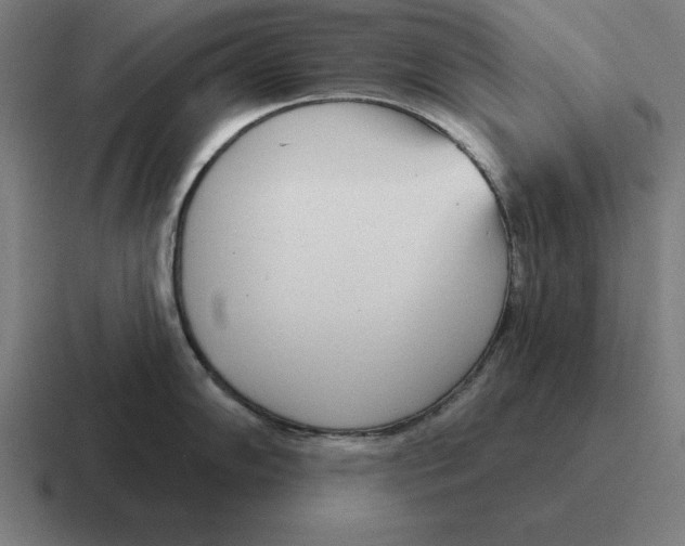 X0000116811102200912311951