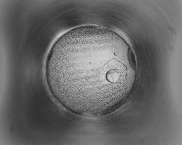 X0000116811104200912311951