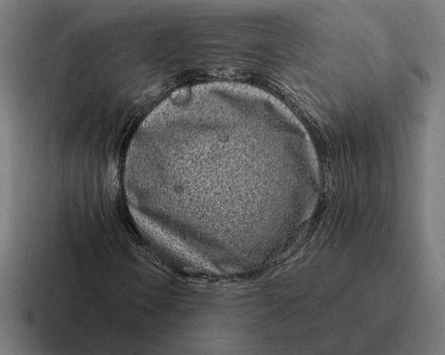 X0000116811106200912311950