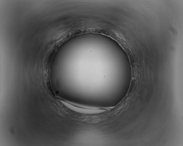 X0000116811109200912311950