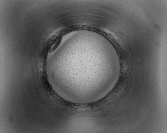 X0000116811110200912311950