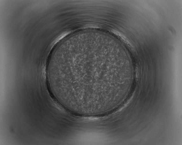 X0000116811113200912311950