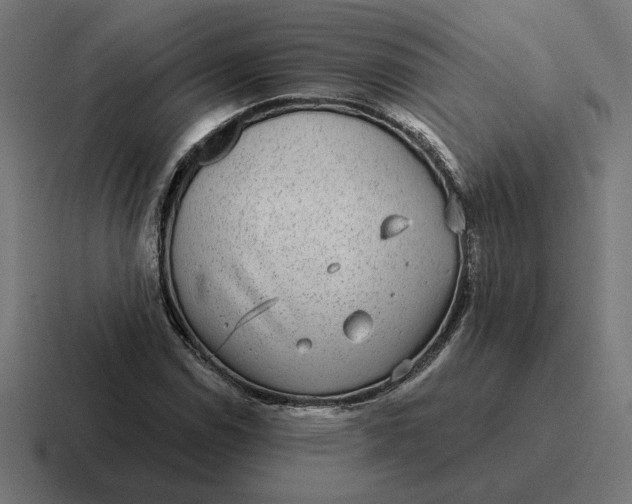 X0000116811114200912311950