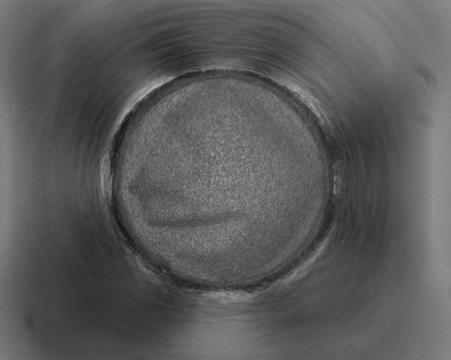 X0000116811117200912311950