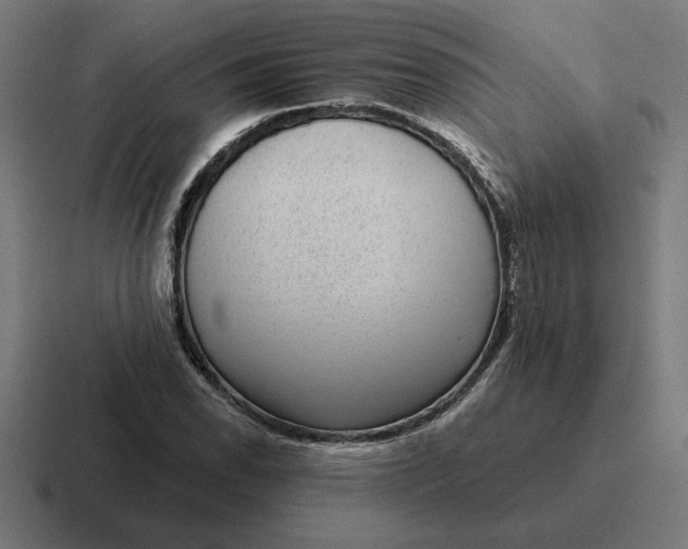 X0000116811118200912311950