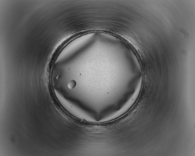 X0000116811119200912311950