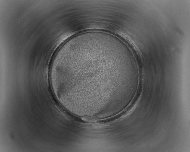 X0000116811121200912311950