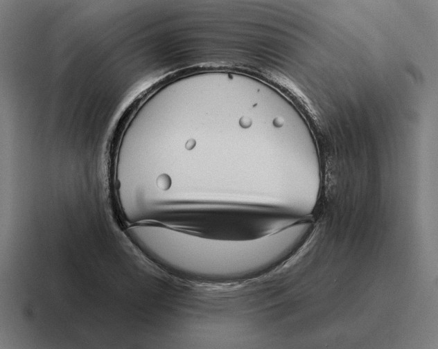 X0000116811122200912311950