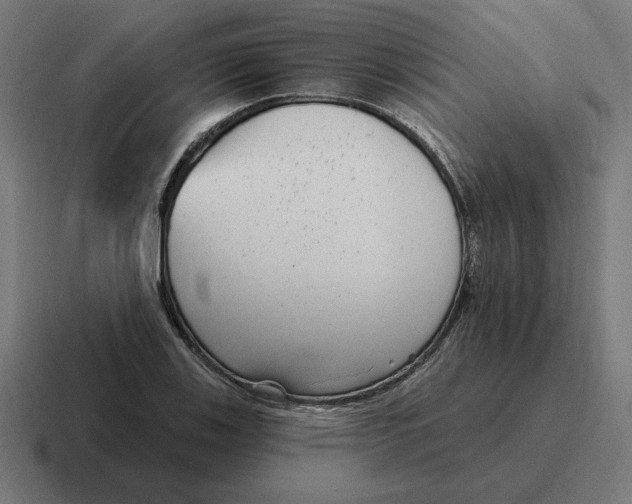 X0000116811123200912311950