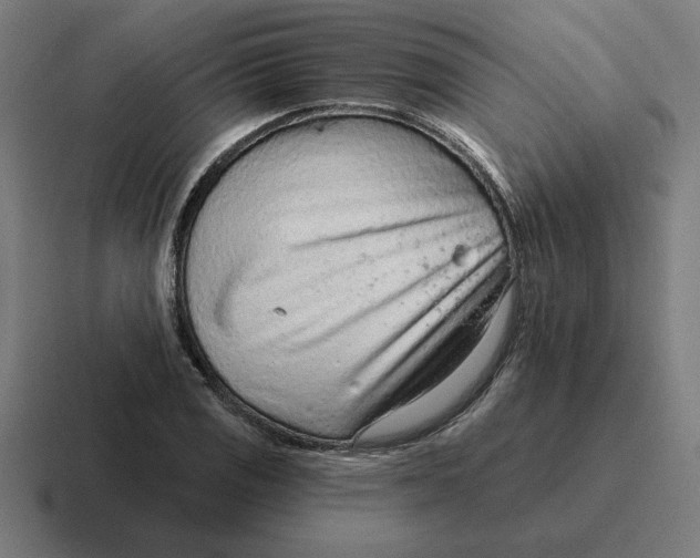 X0000116811125200912311950