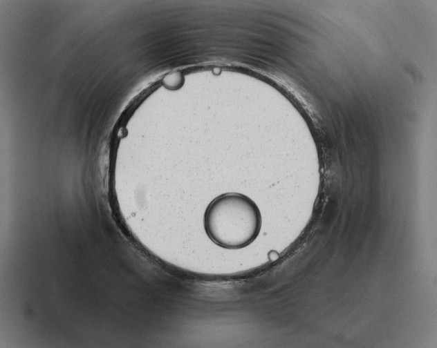 X0000116811126200912311950