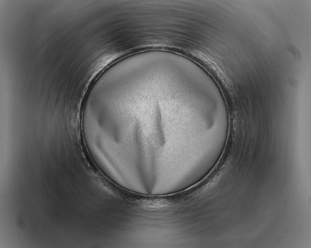 X0000116811129200912311950