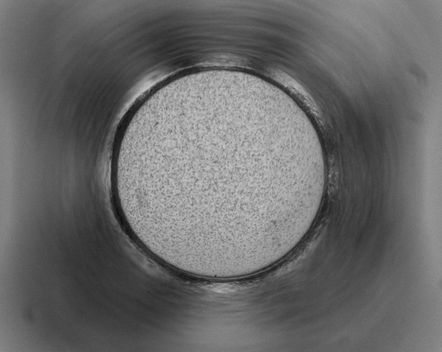 X0000116811130200912311950