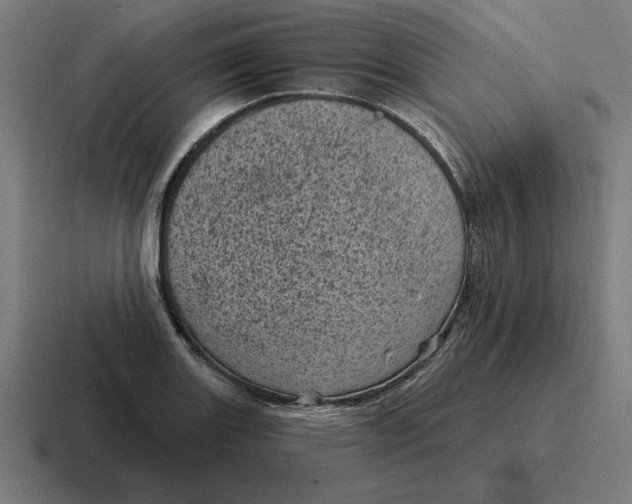 X0000116811131200912311950