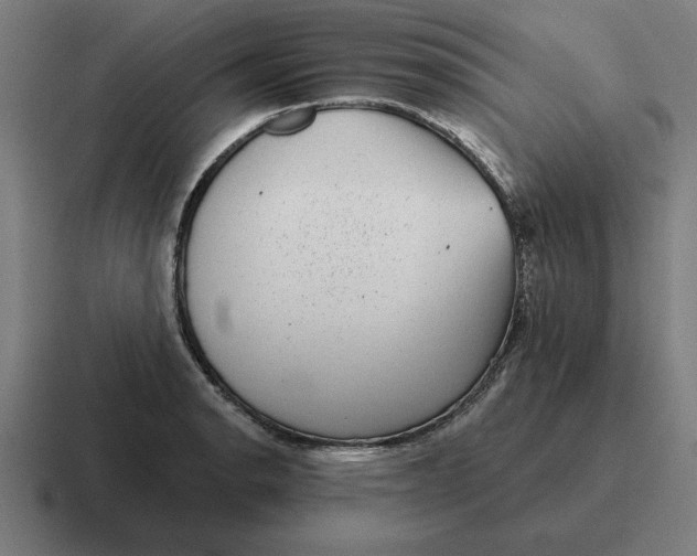 X0000116811134200912311950