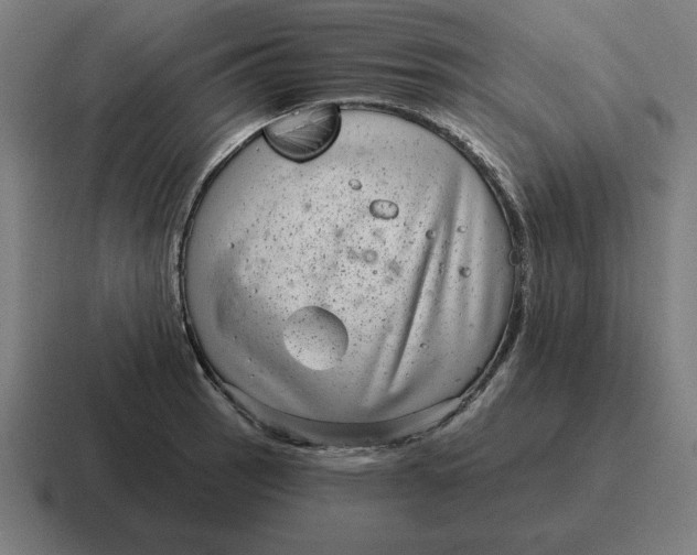 X0000116811137200912311950