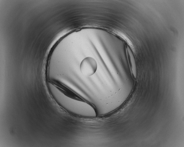 X0000116811138200912311950