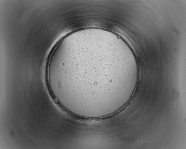 X0000116811139200912311950