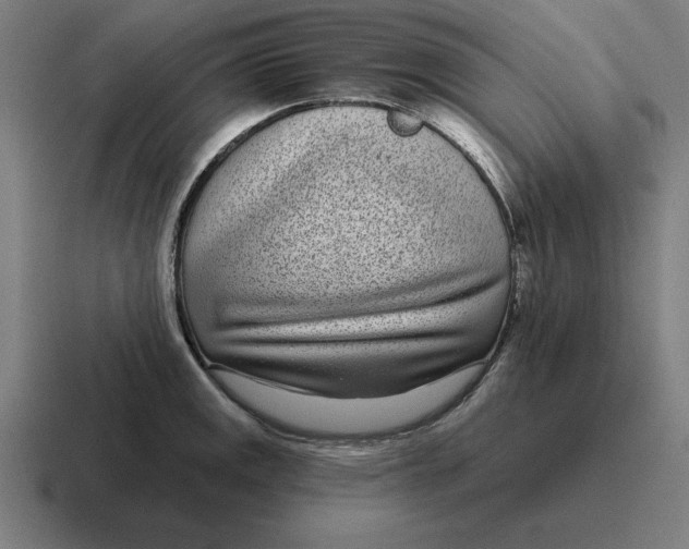 X0000116811141200912311950