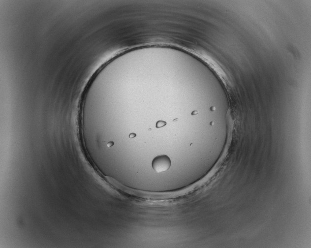 X0000116811142200912311950