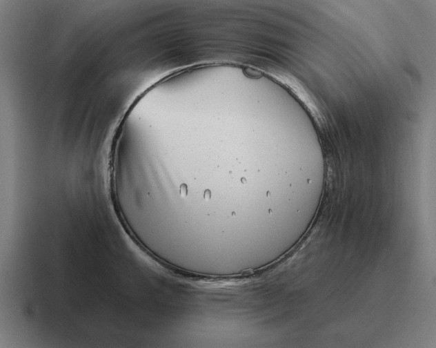 X0000116811143200912311950